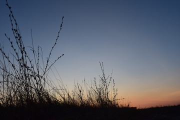 silhouette at sunset силуэт на закате