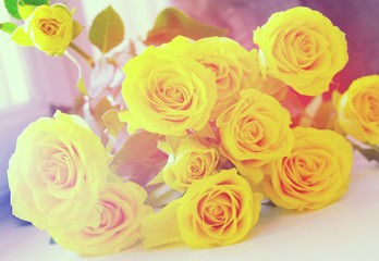 Yellow roses. Bouquet of natural fresh fragrant flowers.