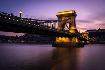 Fototapeta premium Chain bridge in budapest at night