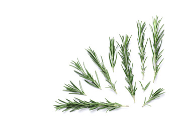 Flat lay composition with rosemary on white background, space for text