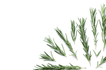 Flat lay composition with rosemary on white background, space for text