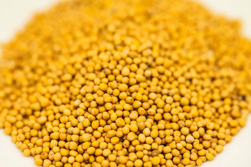 mustard seeds in a macro