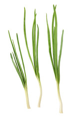 sprigs of green onions