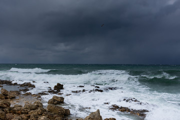 Storm on the Black sea