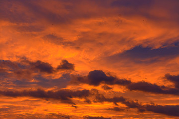 Unusually colorful sunrise in St. Petersburg at the beginning of