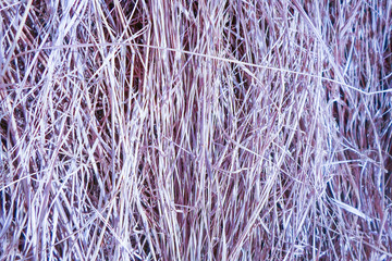 dry grass, a lot of hay background pattern in purple. autumn harvest