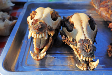 Boiled dog skull