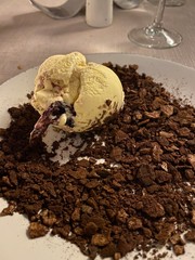 closeup of soil with sunflower seeds