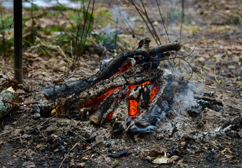 Bonfire in the nature. Barbecue coals