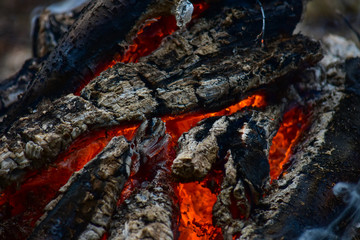 Coals in the fire