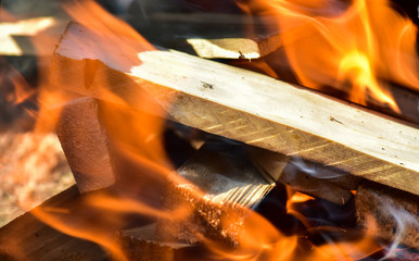 Campfire fire in nature for cooking