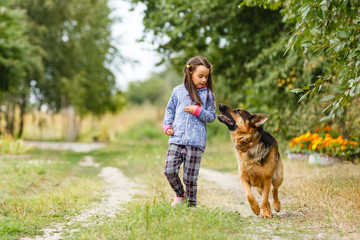 Pretty little girl, Gives a command to sit to german shepherd dog.