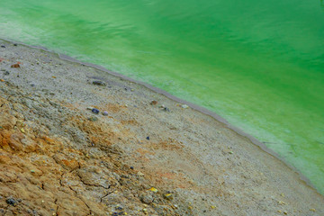 Lake with green polluted water. Environmental disaster