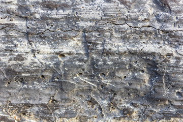 Dirty grey concrete wall with tiny holes and cracked texture background