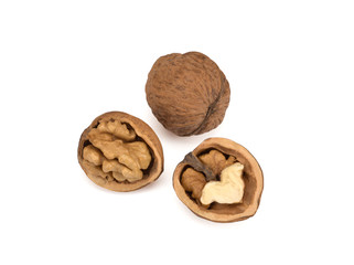 walnut and its parts isolated on a white background