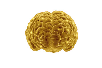 Golden brains on white background