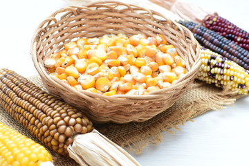 grains of natural corn in containers