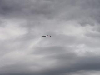 RC model of an airplane in the sky. Recreation and entertainment for children