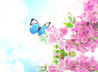 Blossom tree over nature background. Spring flowers. Spring Background