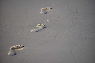 3 footprints on the grey sand, wide shot. Text space on right.