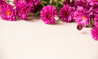Flower background, copy space. 8 March, mother day, Valentines day background. Pink chrysanthemum flowers on white wooden background. Flowers composition. Summer flower. Congratulations background.
