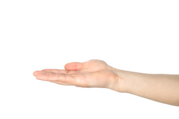 Male palm isolated on white background. Gestures