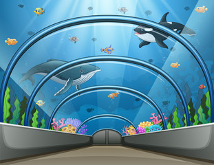 Public aquarium with fish and coral reef illustration