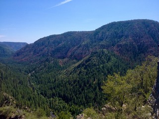Northern Arizona Landscape