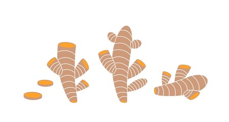 Curcuma logo. Isolated curcuma on white background