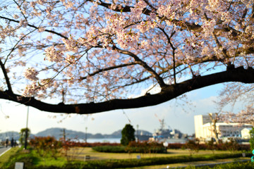 ヴェルニー公園　横須賀市汐入町の風景