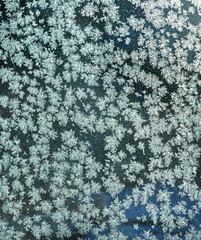 Frosty natural pattern on glass in winter