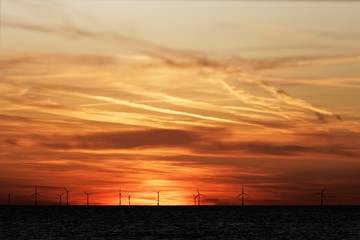 Fototapeta premium Windfarm on the sea at sunset