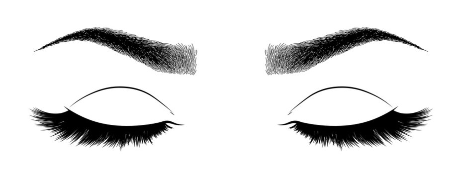 Illustration with woman's eyes, eyelashes and eyebrows. Makeup Look. Tattoo design. Logo for brow bar or lash salon.