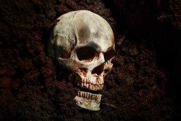 Skull of a dead man in on the ground