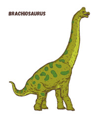 Brachiosaurus dinosaur hand drawn. Vector illustration. Herbivorous dinosaur. Cartoon illustration