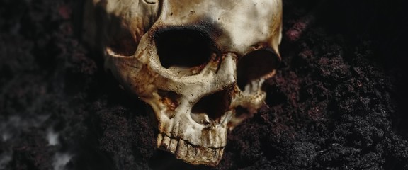 Skull of a dead man in on the ground