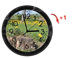 Daylight Saving Time (DST). Wall Clock going to summer time (+1). Turn time forward.