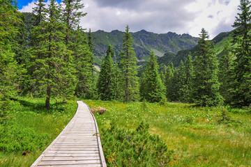 Fototapeta na wymiar Wooden tourist path over the peat bog deep in the mountain forests. High Tatras national park - Temné smrečiny. Summer weather.
