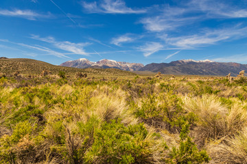 Area around Mono Lake, rock formations and vegetation, California, USA.