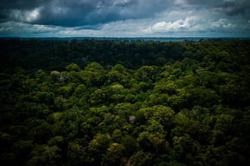 Fototapeta na wymiar Amazon rainforest seen from above reveals the beauty of its rivers, trees and animals. Pará, Brazil