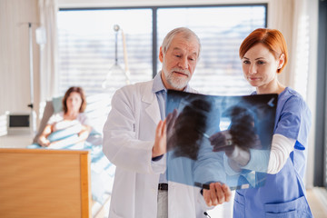 Fototapeta premium Doctors standing in hospital room, examining an X-ray.