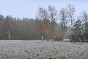 frosty morning with fog in rural area in Germany