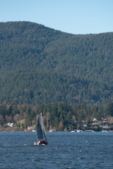Sailing boat in the sunshine coast with big snowy mountains in the back