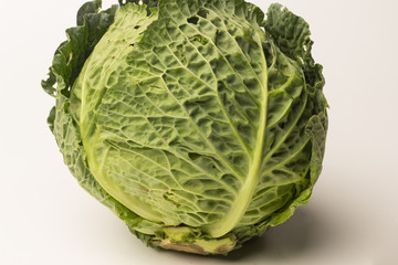 Fototapeta premium Raw, fresh and organic cabbage, freshly picked from the garden