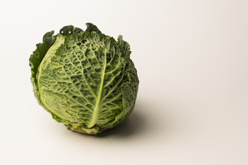 Raw, fresh and organic cabbage, freshly picked from the garden