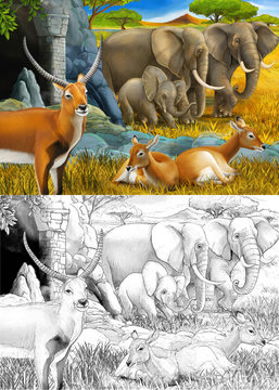 cartoon sketch and color safari scene with family of antelopes and elephant on the meadow illustration for children