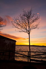 La Albufera de valencia 