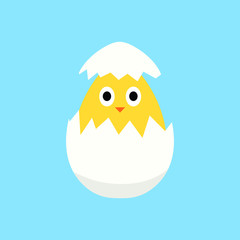 Small chick hatching from egg