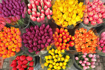 Assortment of bright flowers in shop, above view. Floral decor