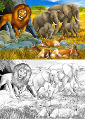 cartoon sketch and color scene with elephant antelope and lion on the meadow resting illustration for children